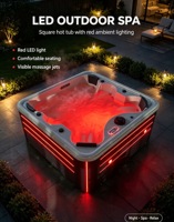 Piscine extérieure de spa de jardin en acrylique pour 5 personnes avec lumière LED, fabriquée par l'usine source de Foshan