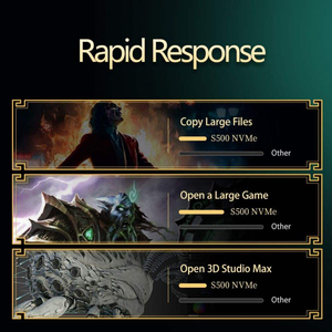 S500 128GB 256GB 500GB 1TB 2TB M2 M.2 2280 PCIe 3.0 NVMe Performa Tinggi Kontrol Termal Laptop Internal Solid State Drive - Product Image 2
