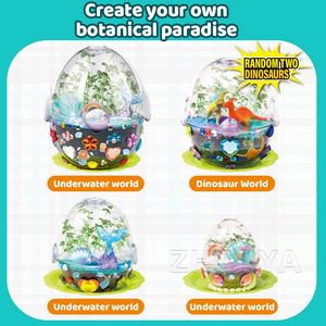 Zhorya - Juego de Manualidades de Terrario de Sirena, Mini Jardín de Huevos, Juguetes Educativos DIY para Niños, Kit de Cultivo de Semillas - Product Image 4