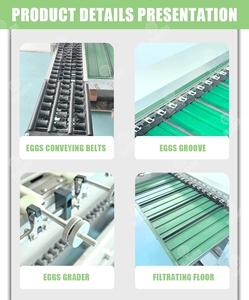 Phân loại trứng & máy đóng gói và tốc độ, độ chính xác và tích hợp liền mạch - Product Image 5