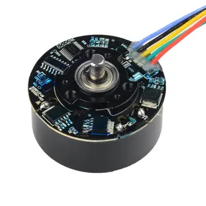 PrimoPal Customizável China 11.1 12 24v 3 Fase 5045 Alto Torque Outrunner Mini BLDC Motor