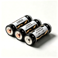 Piles alcalines LR6 AA robustes 1,5 V longue durée, étanches, pour appareils à forte consommation, prix de gros
