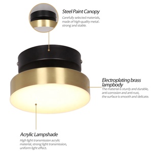 Sunsir SKD <strong>Ceiling</strong> Lighting Interior Pendant <strong>Lamps</strong> Radar <strong>Induction</strong> Lighting Smart Light - Product Image 6