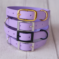 Ensemble de laisse et collier pour chiens et chats en cuir TPU PVC imperméable avec impression personnalisée en couleur en gros, avec nom, accessoires pour chiots Pitbull