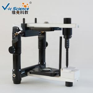 Modelo Educativo de Anatomía Dental Ajustable Promedio para Ciencias Médicas - Product Image 3