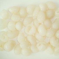 Premium 100% verse Halal gecertificeerde ingeblikte longan in siroop, zoet, klaar om te eten, tropisch fruit voor desserts & snacks