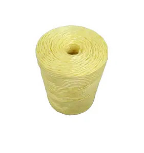 Plastic String for Tying in Agriculture - China Packing Rope and Packaging  Line price