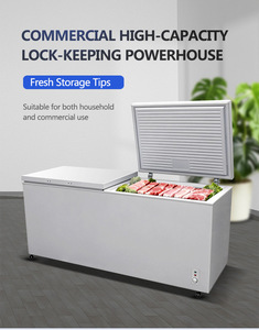 Congélateur horizontal commercial à double porte pour supermarché, refroidissement par air, pour viande, type coffre profond - Product Image 5