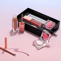 Kit de maquillage pour les lèvres personnalisé en 4 pièces, gloss à lèvres, rouge à lèvres, crayon à lèvres, baume à lèvres, masque pour les lèvres, ensemble de maquillage pour les lèvres avec boîte cadeau noire