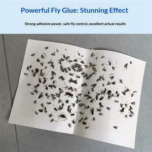 Hot Sale Wholesale <b>Strong</b> Adhesive Sticky Fly Paper Disposable Fly <b>Glue</b> Trap Eco-Friendly Insect Catcher Board for Home Kitchen - Product Image 2