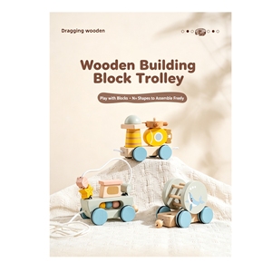 Blocchi di Costruzione in Legno a Forma di Treno con Rimorchio a Corda per l'Educazione Precoce e lo Sviluppo dell'Intelligenza dei Bambini - Product Image 5