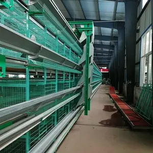 Broiler Layer Cages Chicken Polutry House Designs Farming Chicken Cages for Poultry Farm