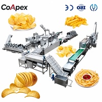 Machine à fabriquer des chips de pommes de terre entièrement automatique CoApex Advanced, acier inoxydable 304 de qualité alimentaire, capacité de 200-300 kg/h, contrôle PLC