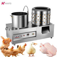 Machine à plumer automatique pour volailles, mini, pour cailles, oiseaux, poulets, élimination des plumes, acier inoxydable, moteur d'abattage