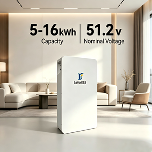 Baterai LiFePO4 100Ah 200Ah 280Ah 314Ah 51.2V 5kWh 10kWh 14kWh 16kWh Tipe Roller untuk Pemasangan di Dinding/Lantai untuk Penyimpanan Energi Surya - Product Image 1