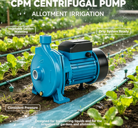Pompe centrifuge de surface à économie d'énergie 220V monophasée, pompe à eau électrique pour surpression domestique et arrosage de jardin