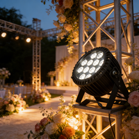 Projecteur LED professionnel en aluminium pour scène, IP65, étanche en extérieur, RGBW 4-en-1, lumières disco colorées DMX