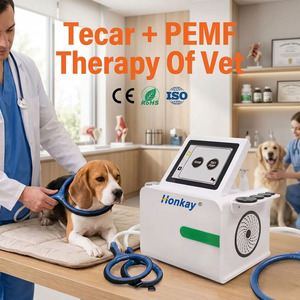 Appareil combiné Tecar PEMF de haute qualité pour la récupération des tissus profonds, la récupération musculaire des blessures sportives chez les animaux, machine PEMF magnétique - Product Image 1