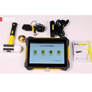 High quality Two channel Low Strain Pile Integrity Tester with wireless