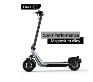 10英寸充气轮胎350W/500W高强度长距离APP电机踏板车电动自行车