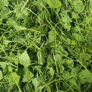 ใบบัวบกแห้งแห้ง - Product Image 1