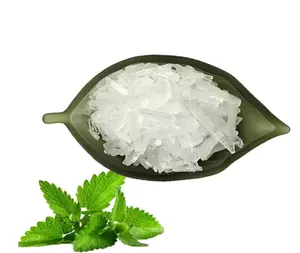 Bubuk kamper Borneol mentol produsen kristal alami/sintetis bubuk kamper Dab6 1 Kg
