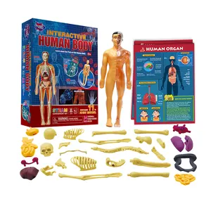 Anatomy Play Set Human Body Puzzles 28 Pieces Play Board STEM Educational Toys Science Kits for Kids Play Doctor Kit