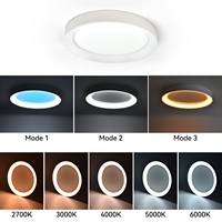 Plafonnier encastré OEM personnalisé de 12 pouces 20W 2700K-6000K avec veilleuses, intensité réglable, idéal pour cuisine, salon, chambre à coucher
