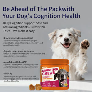 Suplementos Masticables Suaves para la Cognición de Perros Mayores, Formulados por Veterinarios + Cúrcuma, Mejoran la Memoria y la Cognición, Mantienen la Salud Cerebral Diariamente - Product Image 4