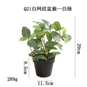 Feuilles artificielles <span class=keywords><strong>de</strong></span> <span class=keywords><strong>Zinnia</strong></span> Plantes vertes artificielles pour décoration <span class=keywords><strong>de</strong></span> table <span class=keywords><strong>de</strong></span> salon et <span class=keywords><strong>de</strong></span> maison Plante artificielle en pot fournie par l'usine - Product Image 3