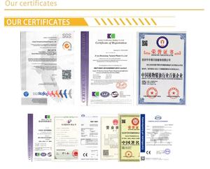 Olio di Semi di Senape Grezzo Puro Spremuto a Freddo dal Produttore per Cucinare Prezzo all'Ingrosso - Product Image 4