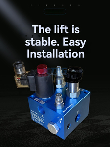 Группа купить рекламные 50 л/мин 25 мПа подъемные гидравлические электромагнитные клапаны для автомобилей - Product Image 4