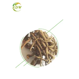 초본 Illicium Verum 추출물 98% shikimic 산 Kava Kava 추출물