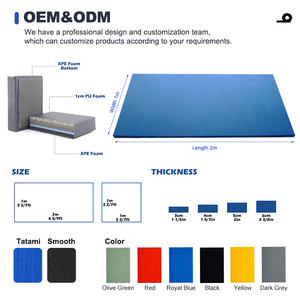 Precio de fábrica MMA Tatami Mats Martial Arts Training Custom Karate Jiu-Jitsu Kendo Bjj Tapis De Judo Mattress T - Product Image 2