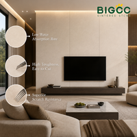 Harga Pabrik 1600x3200x12mm Batu Sintered untuk Dinding Latar TV Pengiriman Cepat