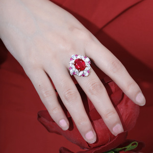 Anillo de Rubí Ovalado de 6 Quilates en Plata de Ley y Platino, Estilo Moderno, para Dropshipping - Product Image 5