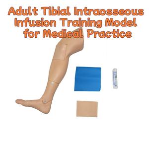 Modello di addestramento adulto del PVC per l'infusione intraossea e l'iniezione della vena tibiale manichino di simulazione di puntura per la scienza medica - Product Image 4