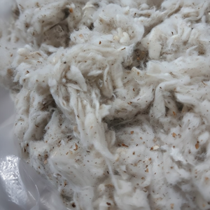 Mejor precio algodón Lickerine Fly Cotton Waste Comber Noil Card Fly Flat Strip fibra de algodón de Vietnam Spinning Mill-Ms Florence - Product Image 1