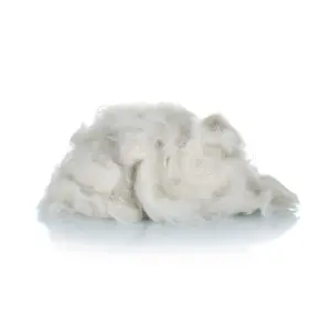 Fornecedor Lã crua Scored Fine Wool Noils Fibra limpa para feltro preenchido