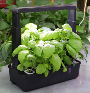Sistema de Cultivo Hidropónico Interior Inteligente con Espectro Ajustable y 15 Cápsulas LED - Product Image 6