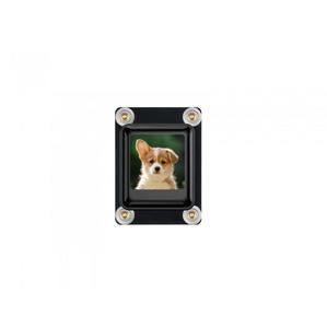 หน้าจอ LCD แบบกลไกขนาด 0.85 นิ้ว, แผง IPS, ความละเอียด 128 x 128, สี 65K, อินเทอร์เฟซการสื่อสารแบบ SPI - Product Image 1