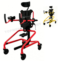 Andador Posterior Ligero con Asiento para Parálisis Cerebral y Necesidades Especiales