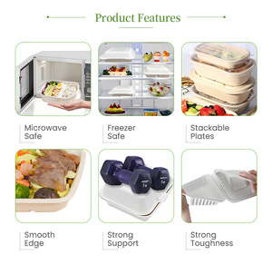 Bền vững bã mía đưa ra thực phẩm container compostable mía vỏ sò hộp sinh thái thân thiện phân hủy sinh học ăn trưa hộp - Product Image 3