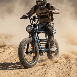 Vélo électrique tout-terrain à pneus larges de 20 pouces, prêt pour la piste désertique, avec suspension avant, idéal pour la conduite sur routes poussièreuses et terrains secs. - Product Image 5