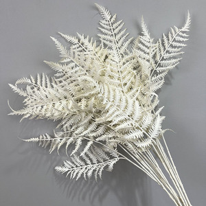 Feuille de fougère artificielle blanche, imitation immortelle, chrysanthème argenté, décoration de mariage HH-2214 - Product Image 2