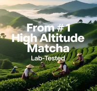 JIUECO Capsules de Matcha Cérémonial Bio Pur - Sachet Sous Vide Thé Santé Certifié HACCP ISO22000 HALAL Thé en Vrac 24 Mois