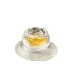 Handmade Frozen Cooking Exquisite Tea Cup With Coaster Modern Style Transparent And Frosted Glass Cups