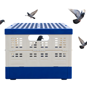 Cage de transport pliable en plastique de type A pour l'élevage de poulets, portable, pour la course et l'entraînement - Product Image 3