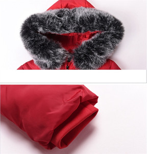2020 hiver nouvelle version coréenne des vestes longues et moyennes à grand col en fourrure en coton épais pour femmes - Product Image 2