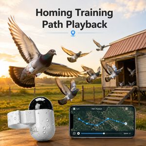 Dispositif <span class=keywords><strong>de</strong></span> suivi pour pigeons voyageurs, mini 2,2g étanche IP68, avec fonction <span class=keywords><strong>de</strong></span> lecture <span class=keywords><strong>de</strong></span> la trajectoire <span class=keywords><strong>de</strong></span> <span class=keywords><strong>vol</strong></span> pour élevages <span class=keywords><strong>de</strong></span> pigeons, achat en gros - Product Image 1